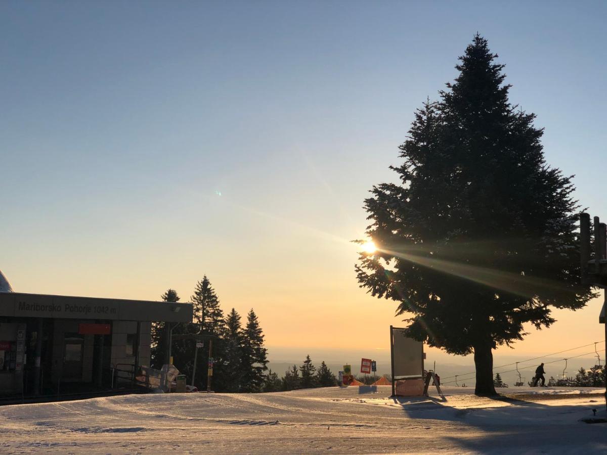 Chalet Anra Pohorje Zgornje Hoce Экстерьер фото