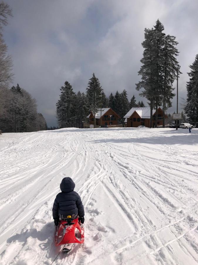 Chalet Anra Pohorje Zgornje Hoce Экстерьер фото