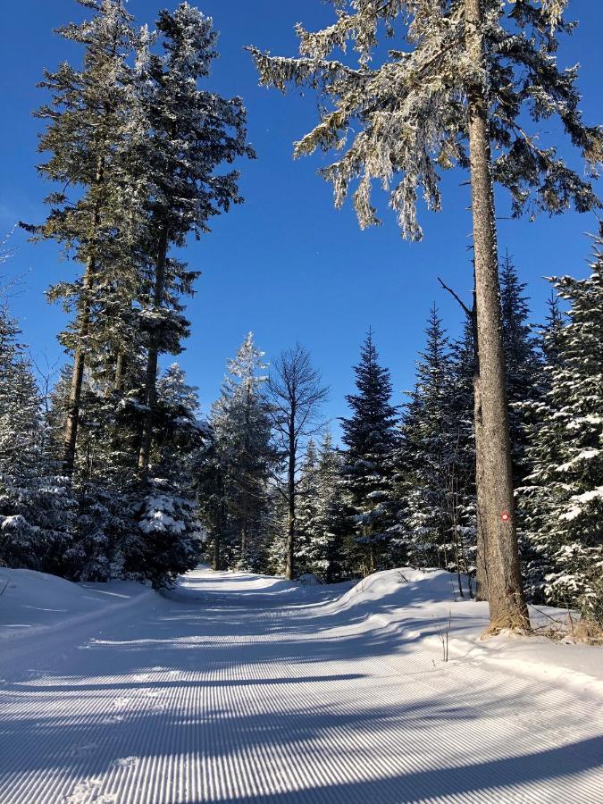 Chalet Anra Pohorje Zgornje Hoce Экстерьер фото