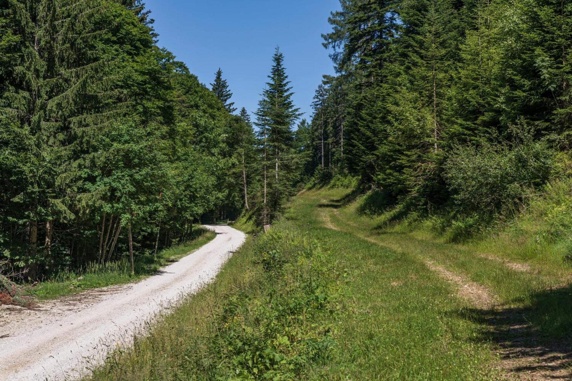 Chalet Anra Pohorje Zgornje Hoce Экстерьер фото