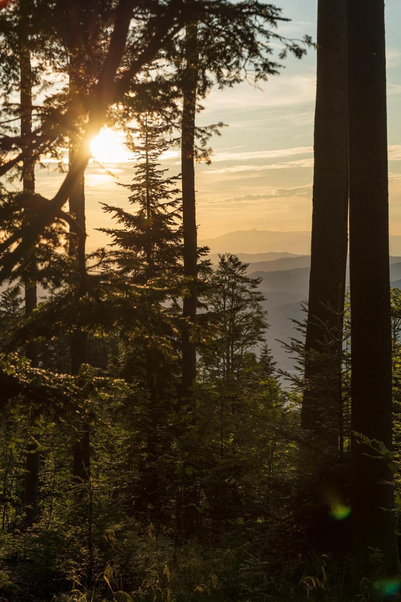 Chalet Anra Pohorje Zgornje Hoce Экстерьер фото