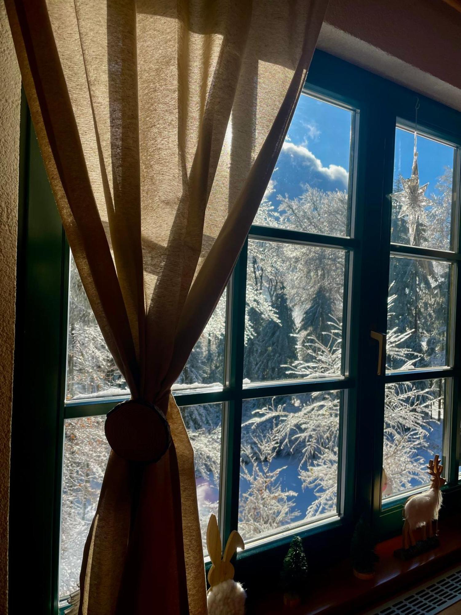 Chalet Anra Pohorje Zgornje Hoce Экстерьер фото